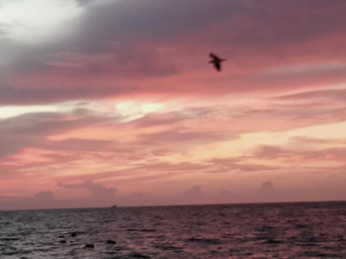 Corazon Del Pescador Διαμέρισμα Κανκούν Εξωτερικό φωτογραφία