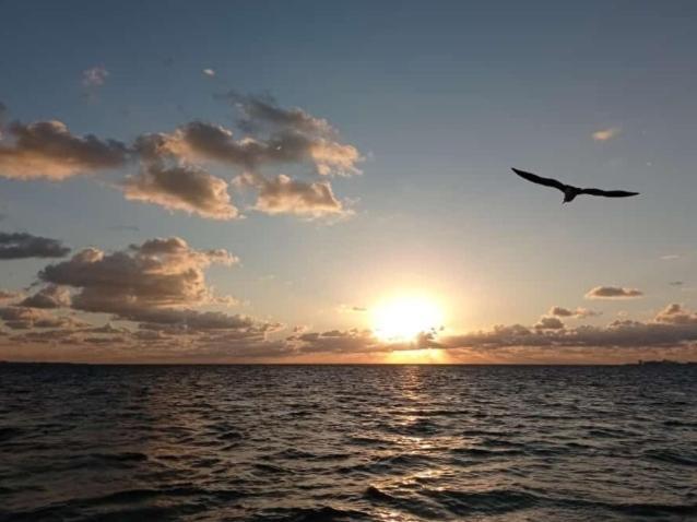 Corazon Del Pescador Διαμέρισμα Κανκούν Εξωτερικό φωτογραφία